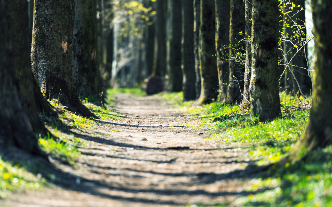 One Foundation’s Journey from Feedback to Action, Part Two: Positive Action