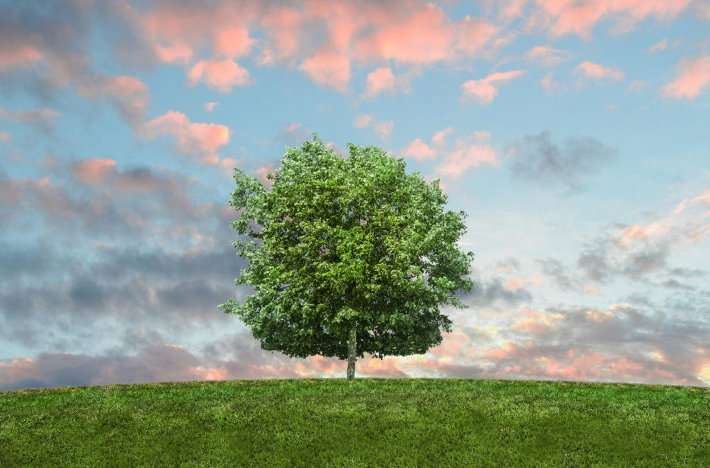 Giving Big: The Impact of Large, Unrestricted Gifts on Nonprofits