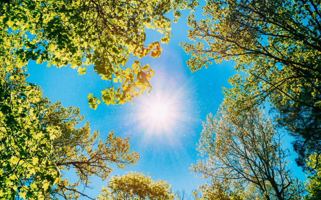 How Foundations Are Supporting Grantee Staff Well-Being