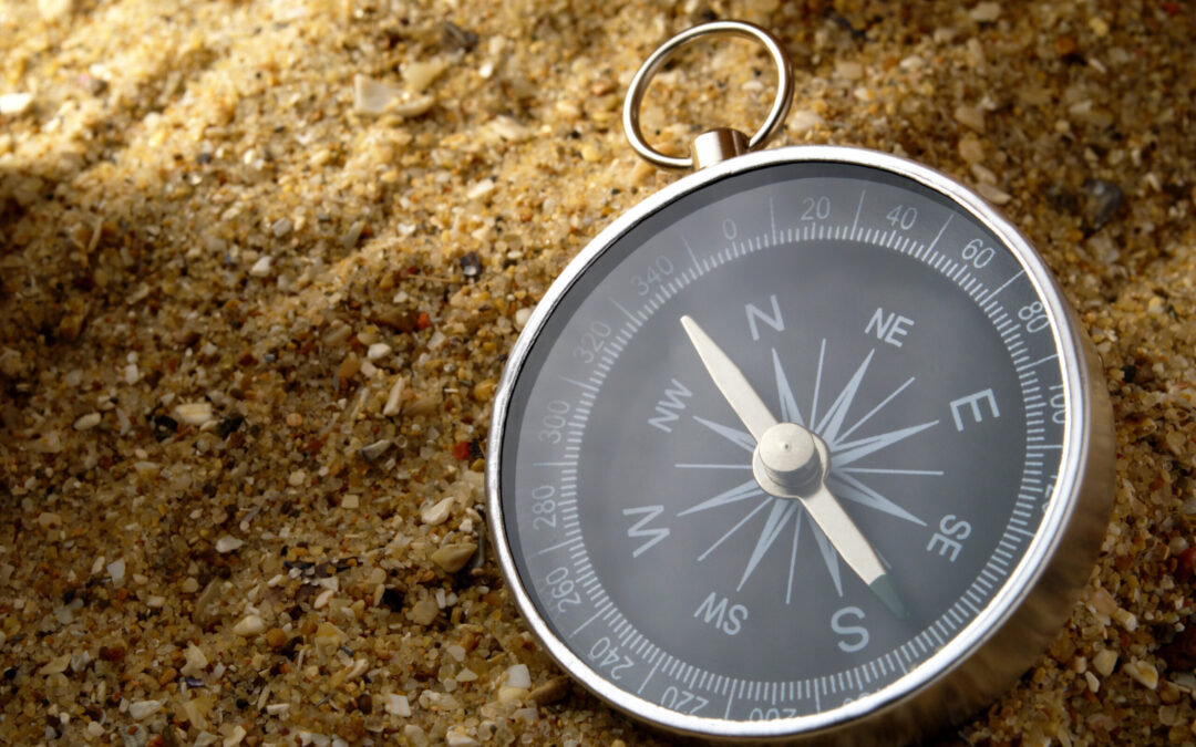 Using Grantee Feedback as a Guide: One Funder’s Experience Between Two GPRs