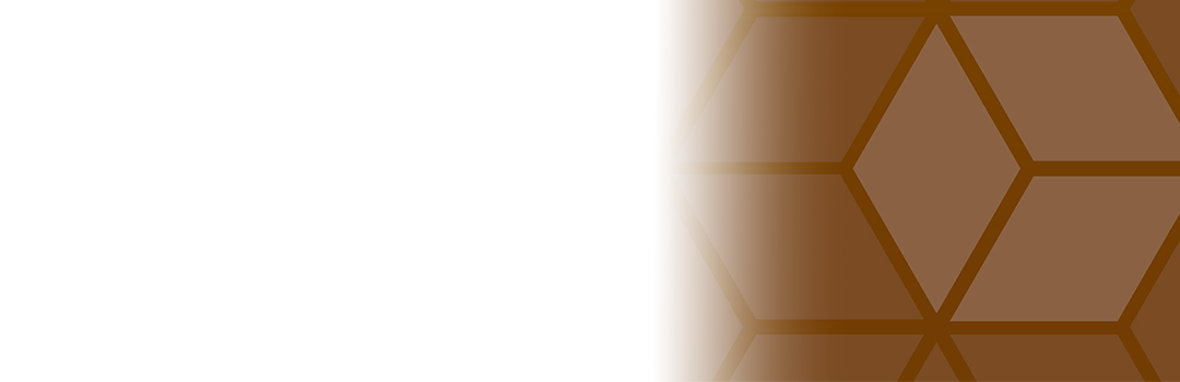 Essentials of Foundation Strategy