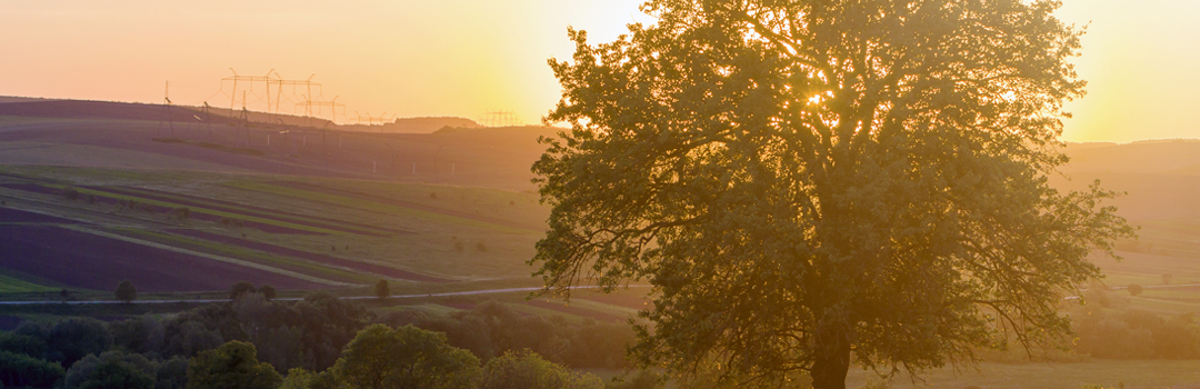 The Funding Landscape: Nonprofit Perspectives on Current Issues in Philanthropy